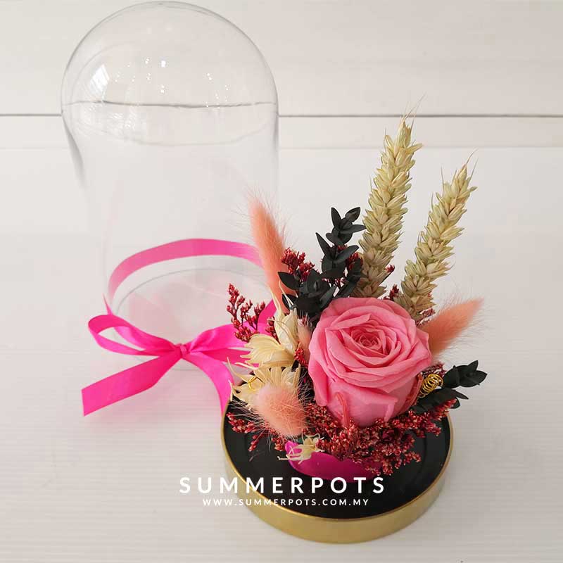 Preserved Flowers 51