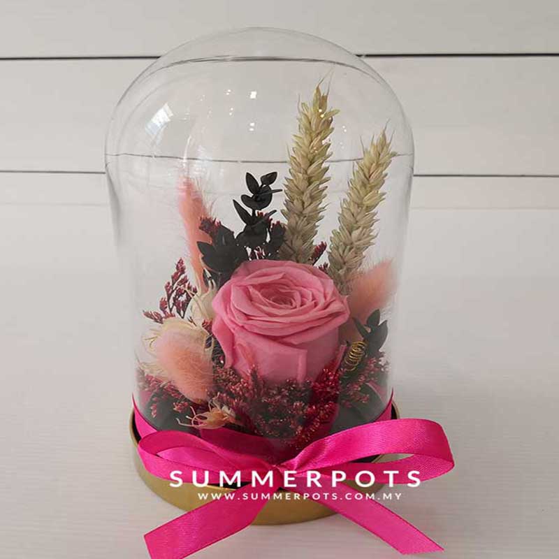 Preserved Flowers 51