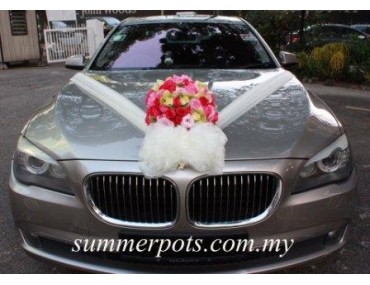 Wedding Car 009a