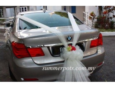 Wedding Car 009b