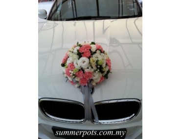 Wedding Car 011a