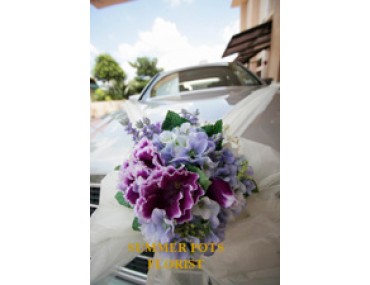 Wedding Car 012a