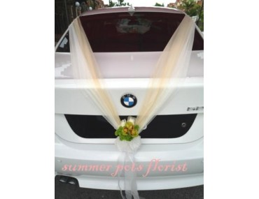 Wedding Car 020b
