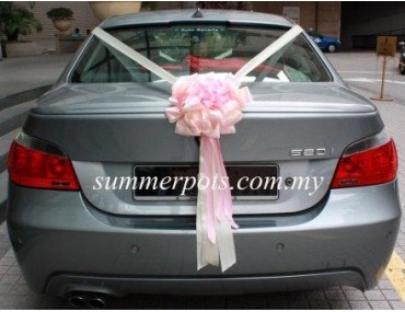 Wedding Car 025b