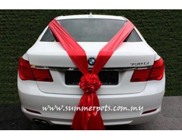 Wedding Car 026b