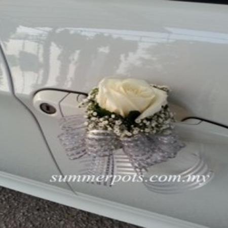 Wedding Car 011b