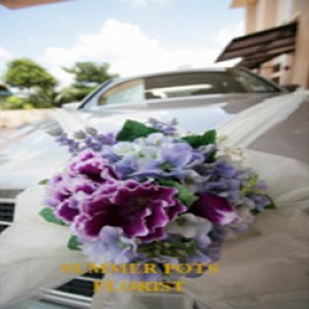 Wedding Car 012a