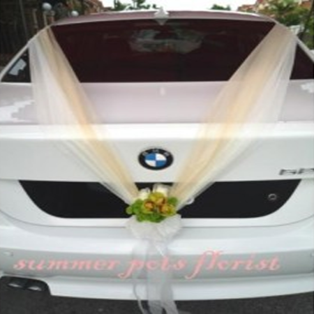 Wedding Car 020b