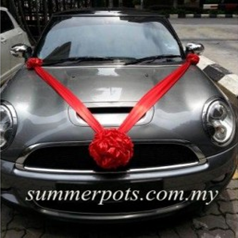 Wedding Car 028a