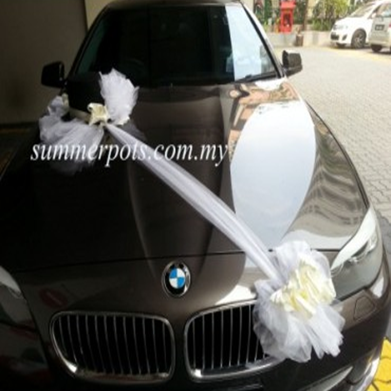 Wedding Car 029a