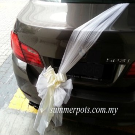 Wedding Car 029c