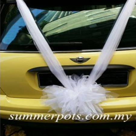 Wedding Car 030b