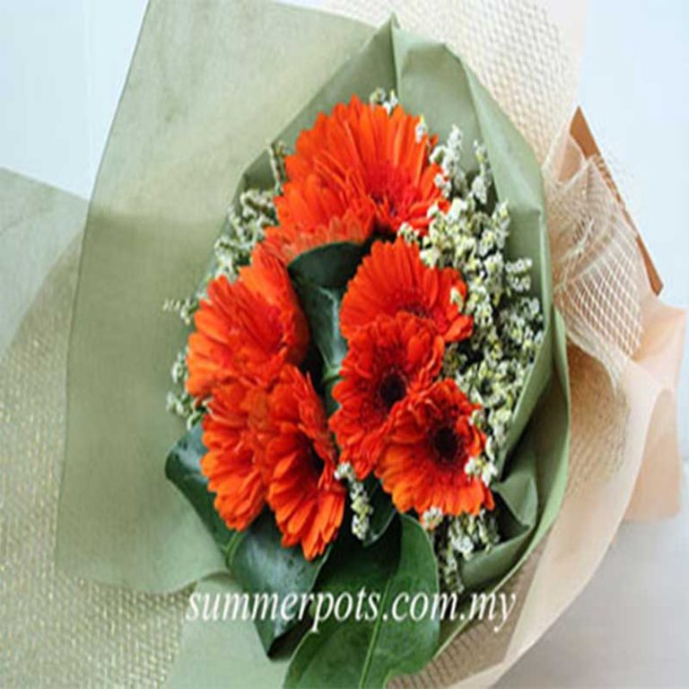 Gerbera Bouquet 260